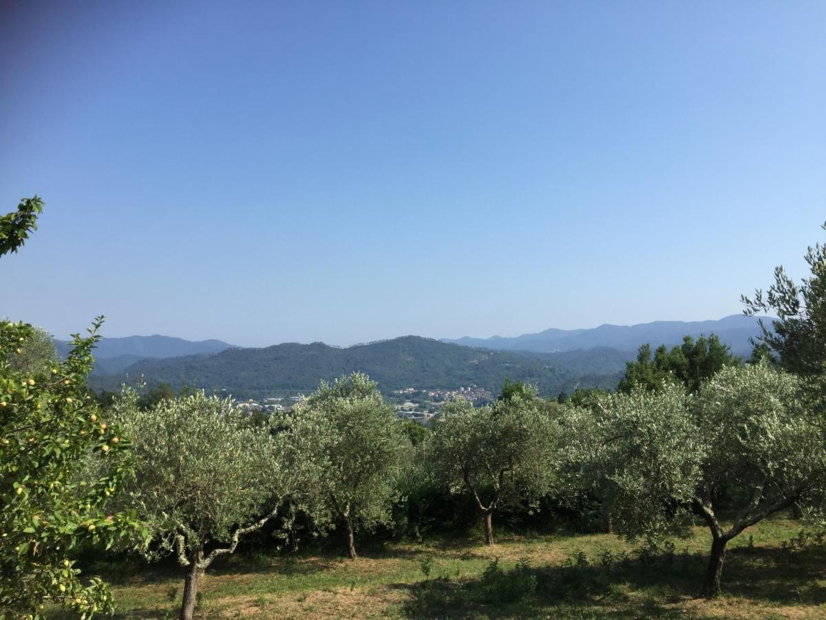 Il Casale Villa Brugnato Exteriör bild